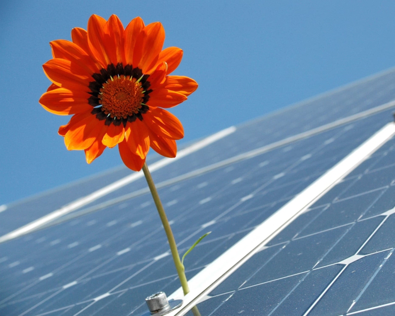 Panele fotowoltaiczne Wadowice