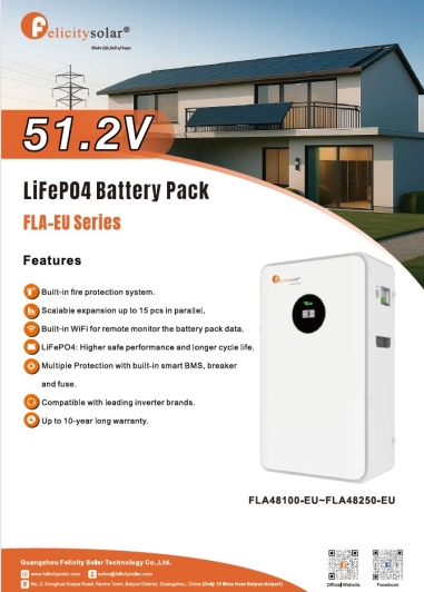 Magazyn Energii LifeP04 51.2V FLA48100-EU-FLA48250-EU