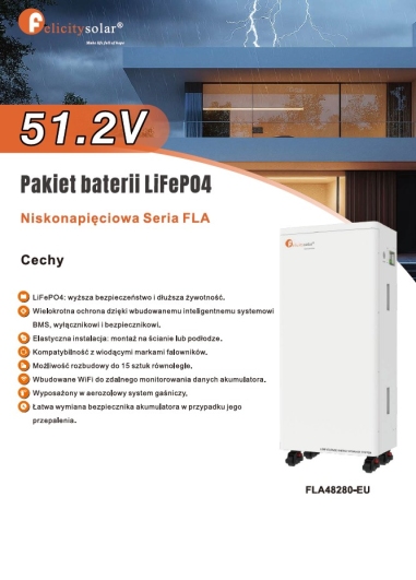 Magazyn Energii LifeP04 51.2V FLA48280-EU