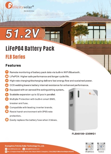 Magazyn Energii LifeP04 51.2V FLB48100