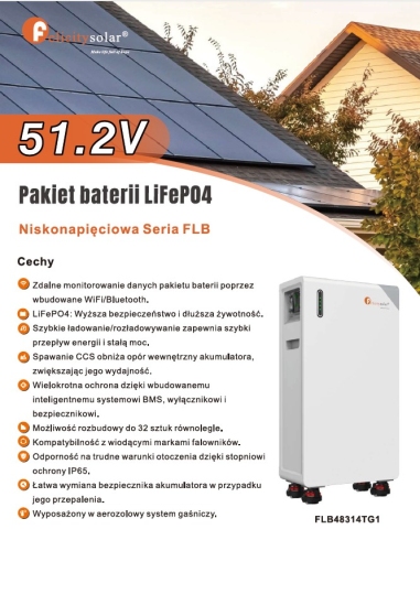 Magazyn Energii Lifep04 51.2V FLB48314TG1
